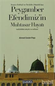 Peygamber Efendimizin Mustasar Hayatı
